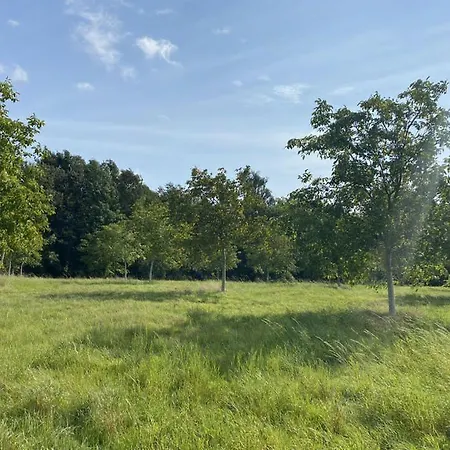 Kleines Ferienhaeuschen Im Gruenen Am Wasser 度假居 *