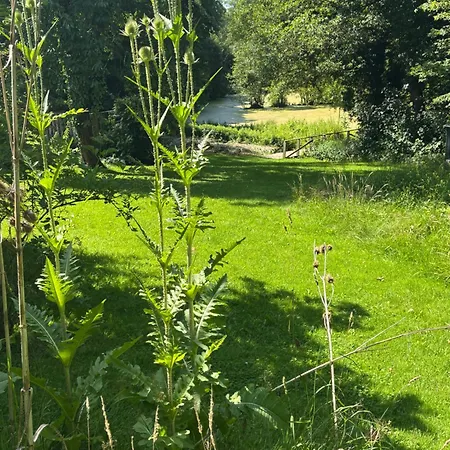 Ferienhaus Kleines Ferienhäuschen Im Grünen Am Wasser