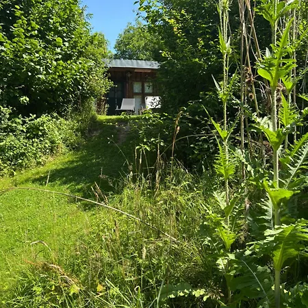 Kleines Ferienhäuschen Im Grünen Am Wasser Ferienhaus Gronwohld