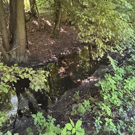Kleines Ferienhäuschen Im Grünen Am Wasser Ferienhaus
